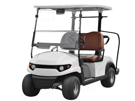 2 Seater Golf Carts
