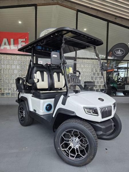 2025 Evolution D5 Ranger 2+2 Plus Arctic Gray — Cart with CarPlay
