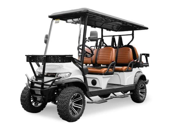 Lithium Golf Cart